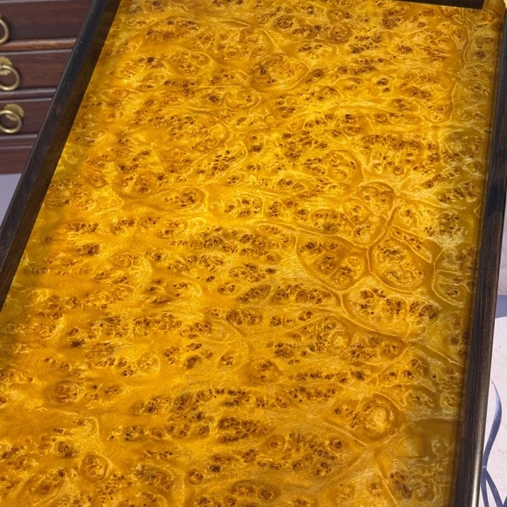 木黄金樟留疤超大托盘