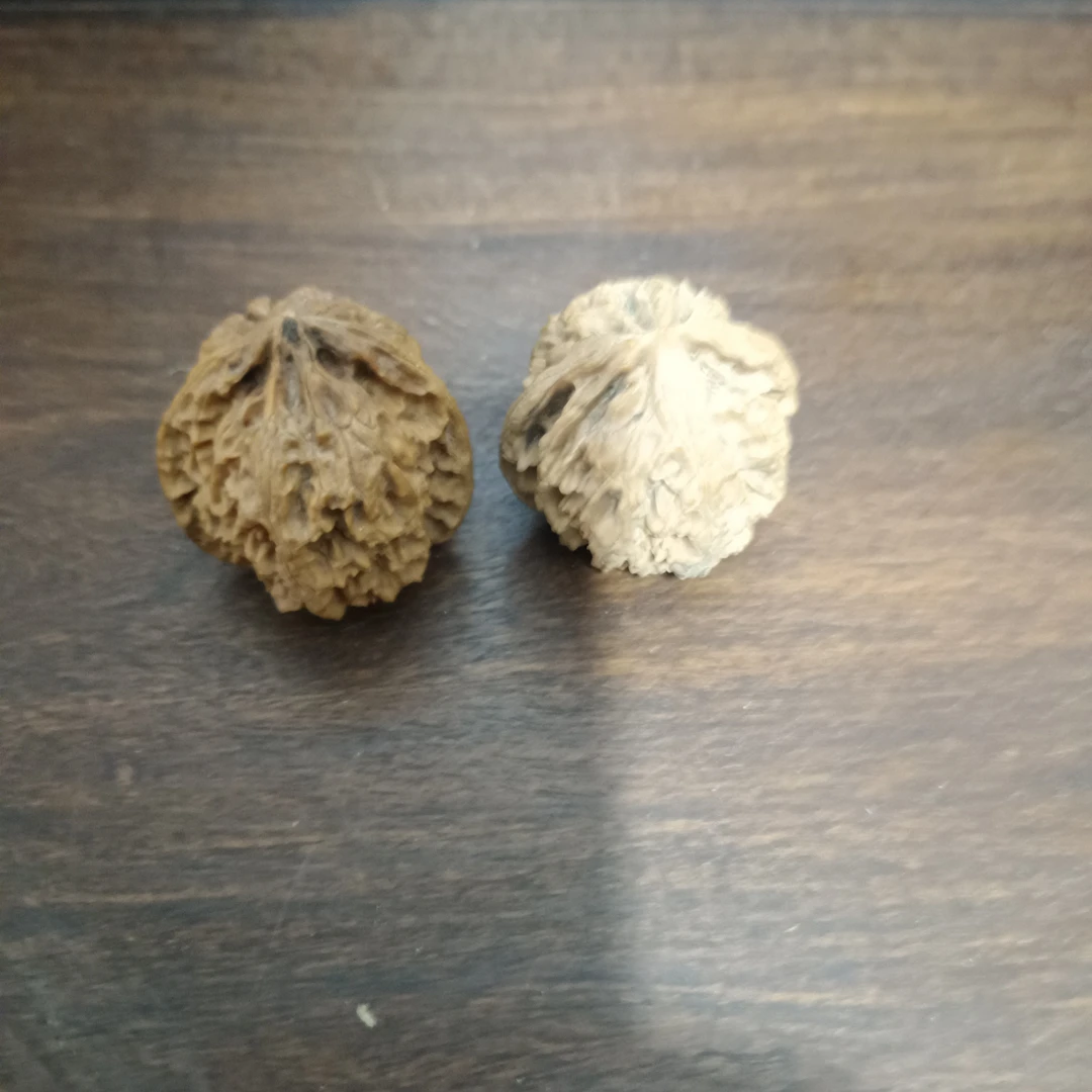 文玩核桃三棱蛤蟆头可盘玩手把件