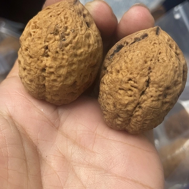 把件文玩核桃云南铁核桃基地55