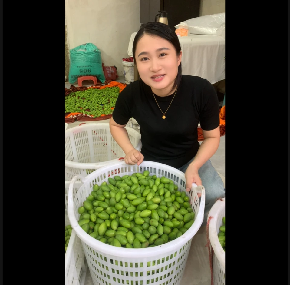 青橄榄煲汤橄榄回甘煲炖汤青果现摘现发孕妇水果煲汤