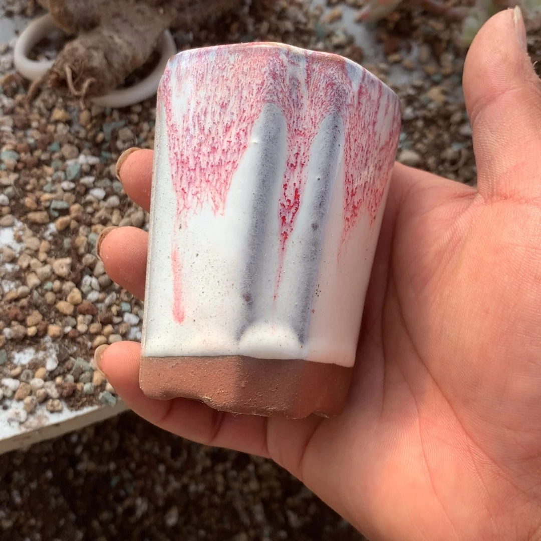 格***叶清洁面部清洁的效果