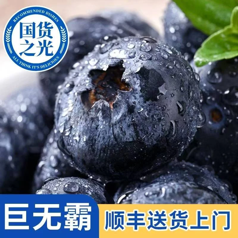 【巨无霸！送四盒】云南高山花香蓝莓新鲜采摘脆甜多汁100g/盒*8盒