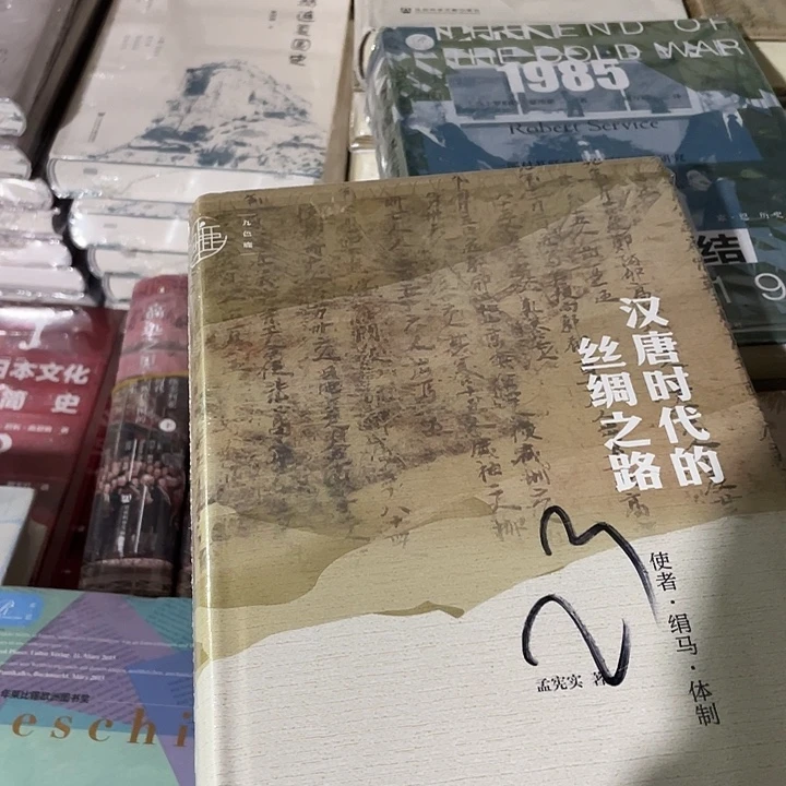 汉唐时代的丝绸之路微瑕