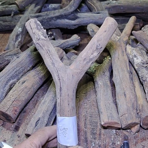 过***客火琉璃原杈，不保沉水，慎拍！