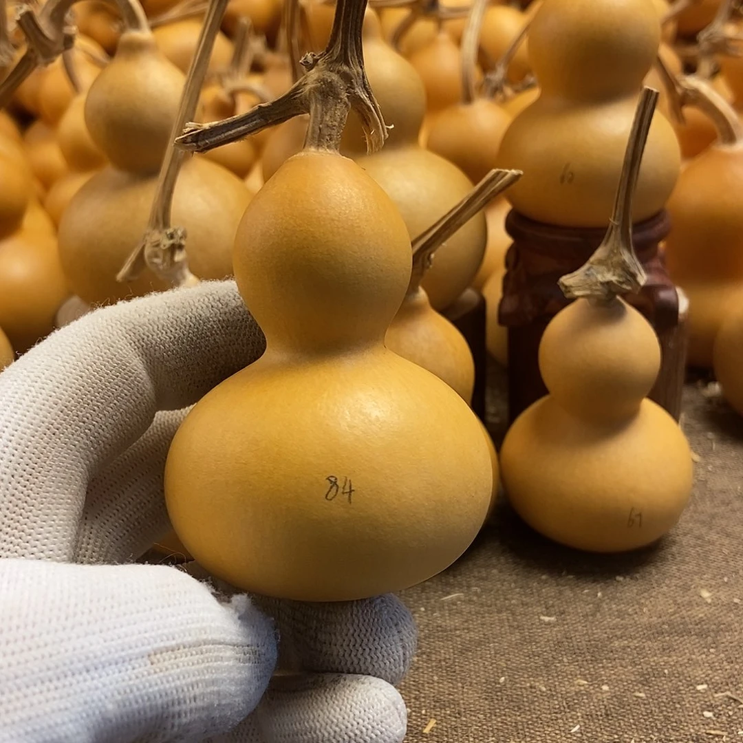 文玩葫芦 完美主义者 慎拍84