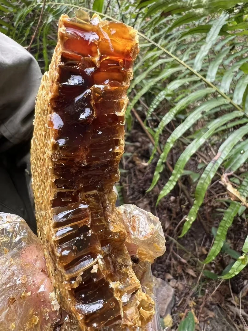 清远客家野生蜂蜜1斤