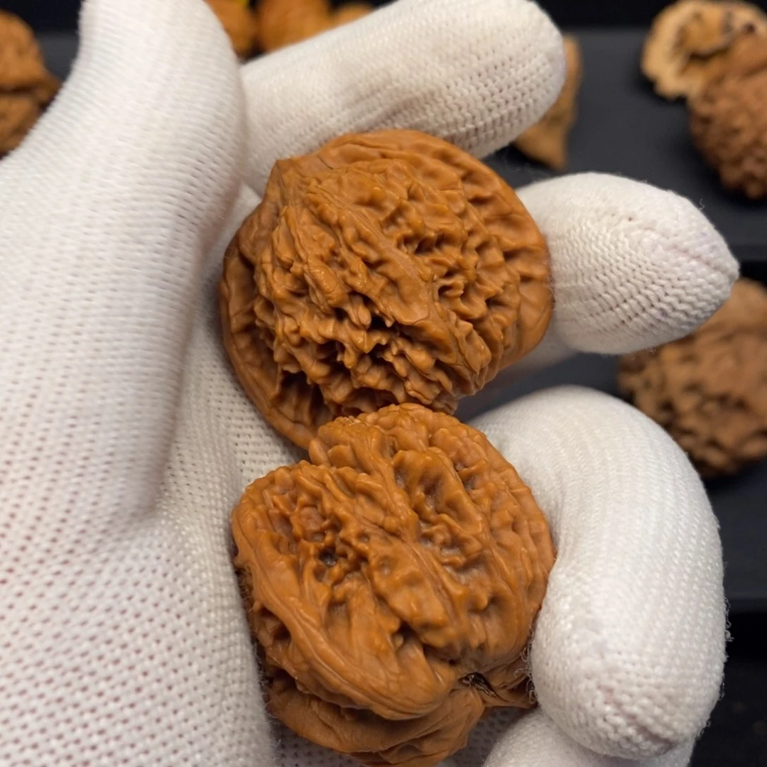 秦岭森林茂密和植被覆盖