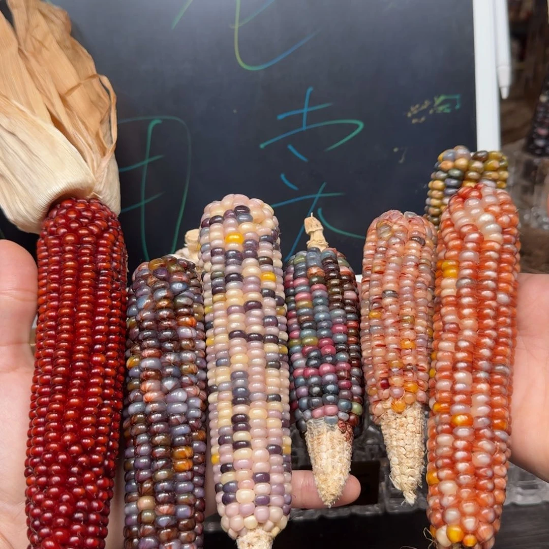 柏香籽/百香籽吊坠婚****?