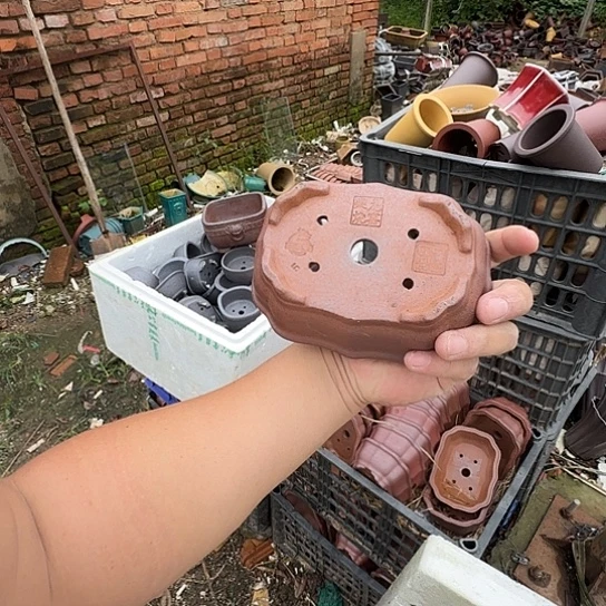 你说了就可以咯吧啦哇啦一会