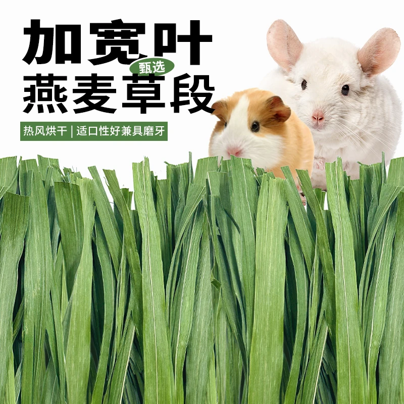燕麦草精品宽叶烘干荷兰猪龙猫干草粮食兔子草纯叶草段饲料牧草