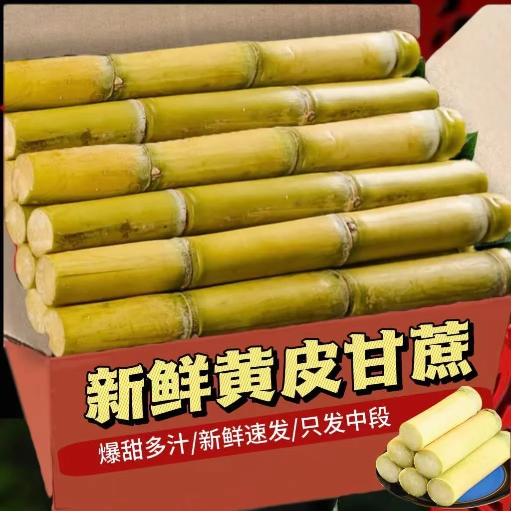 【薄皮超甜】甘蔗正宗黄金甘蔗云南手撕甘蔗现砍当季新鲜脆甜多汁