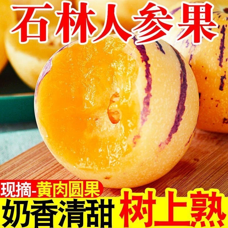 【低糖树熟果】云南石林人参果黄肉黄心树上熟新鲜水果整箱自家种植