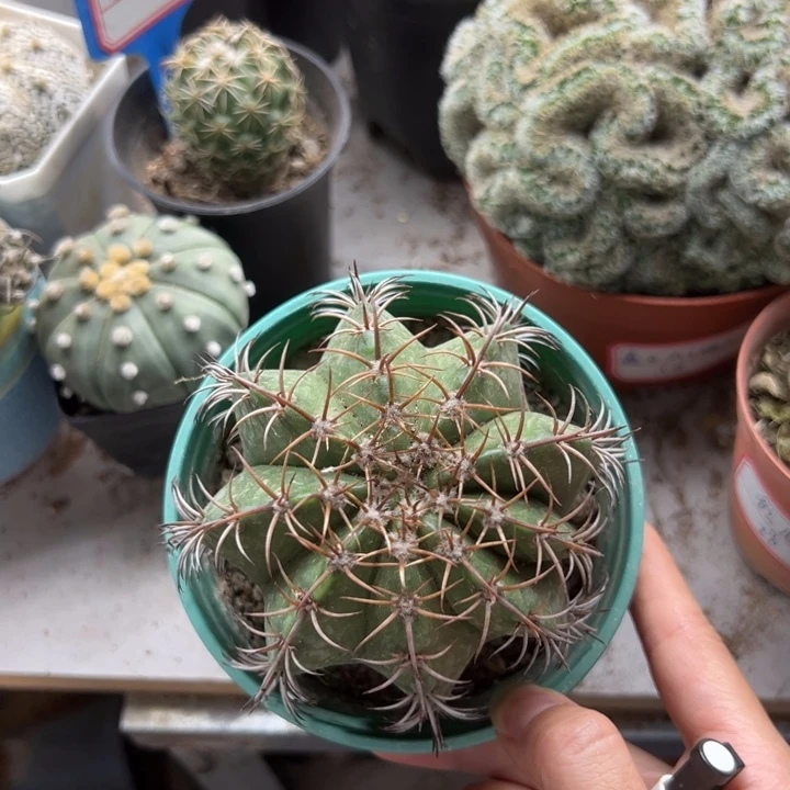 涵***             恭喜发财。