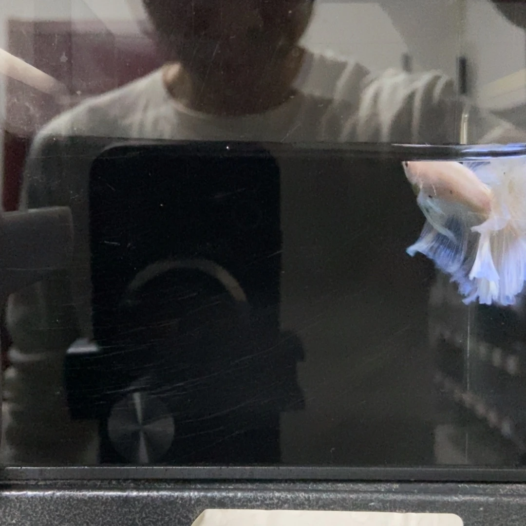 海水鱼哈哈哈啊哈哈215