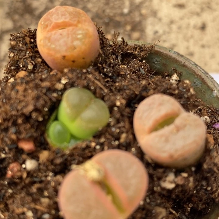 2047一组一组一组