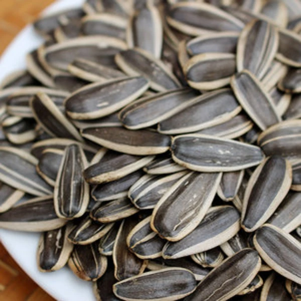 阿雷专属-2025年新赤峰大葵花子四斤包邮