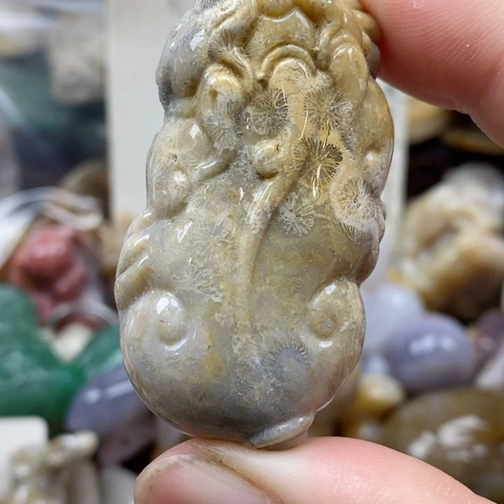 硅化珊瑚（珊瑚玉）未镶嵌颈饰有瑕