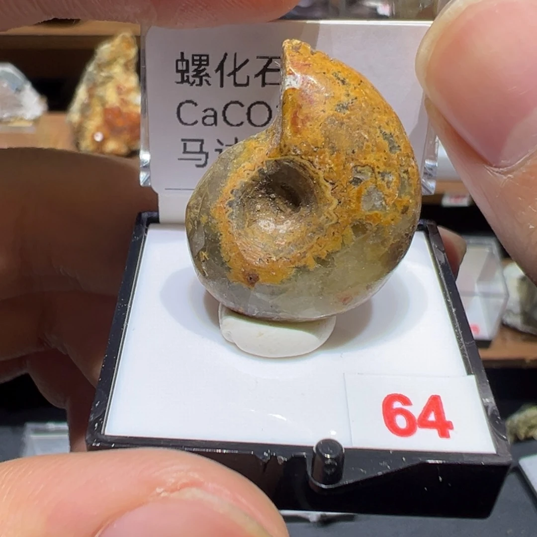 石材你想你想你吃吗