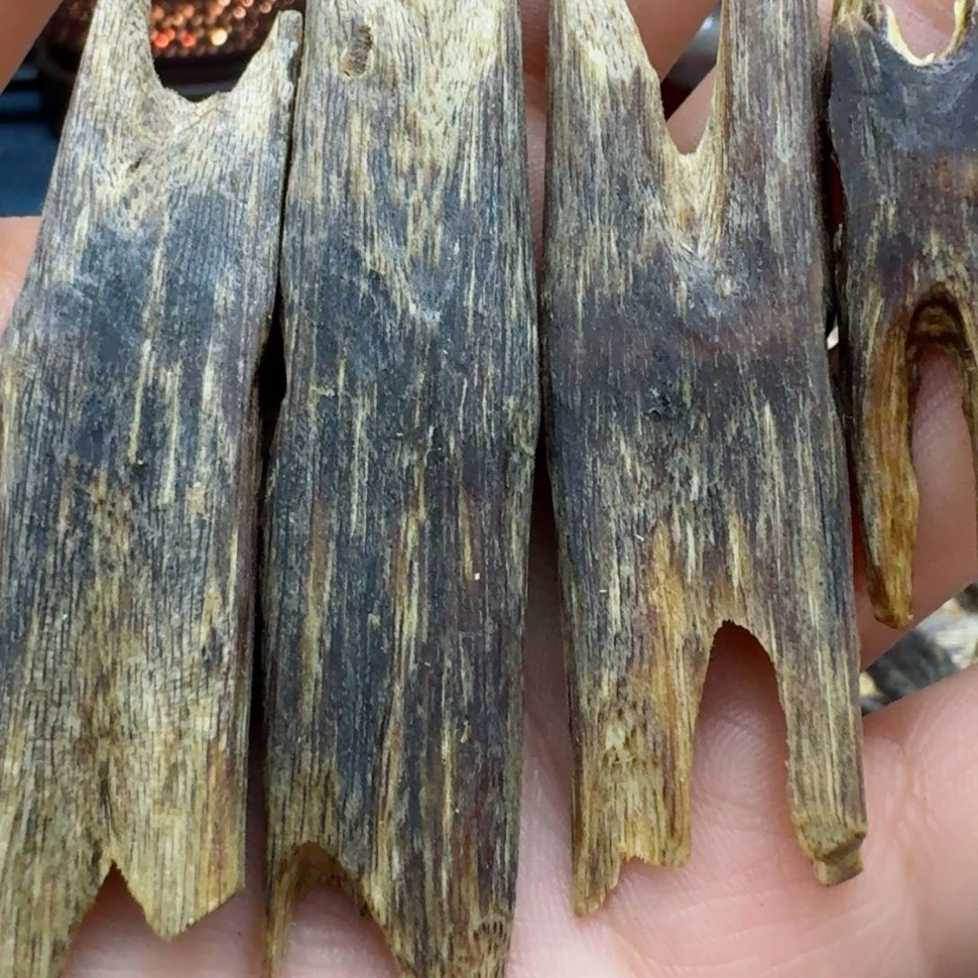 沉香沉香木制品白棋陆河块料10克多样性发货