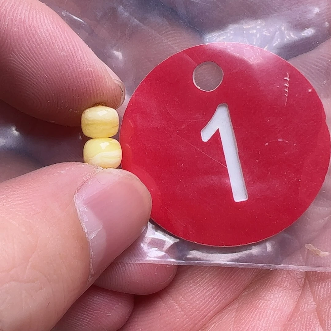 蜜蜡未镶嵌珠宝奇石6m m