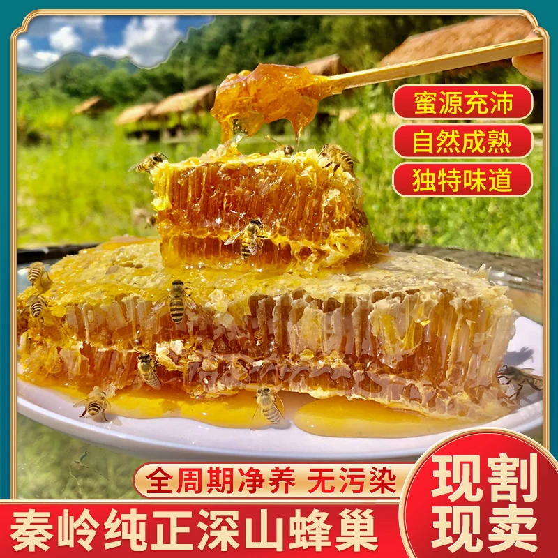 秦岭深山土蜂全封盖木桶一年只取一次自然成熟可嚼着吃的蜂巢蜜