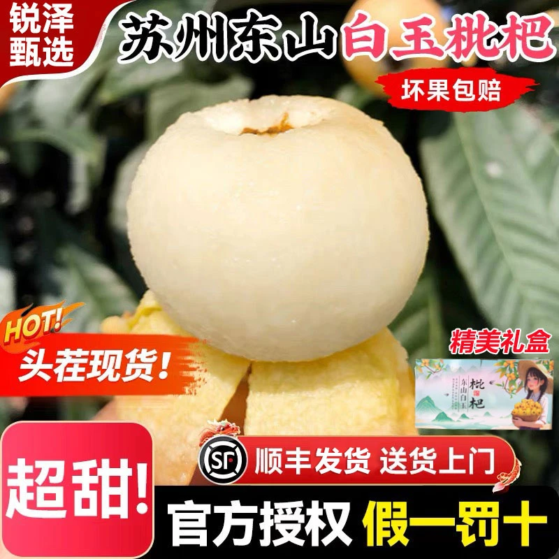 大果家庭尝鲜正宗苏州东山白玉枇杷超甜无酸鲜甜可口产地直发礼盒