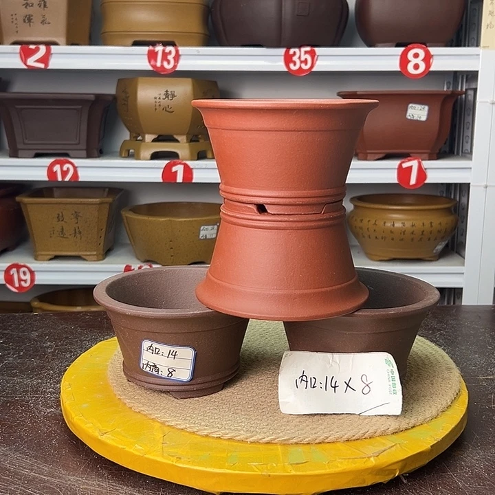 花盆紫砂你在一起