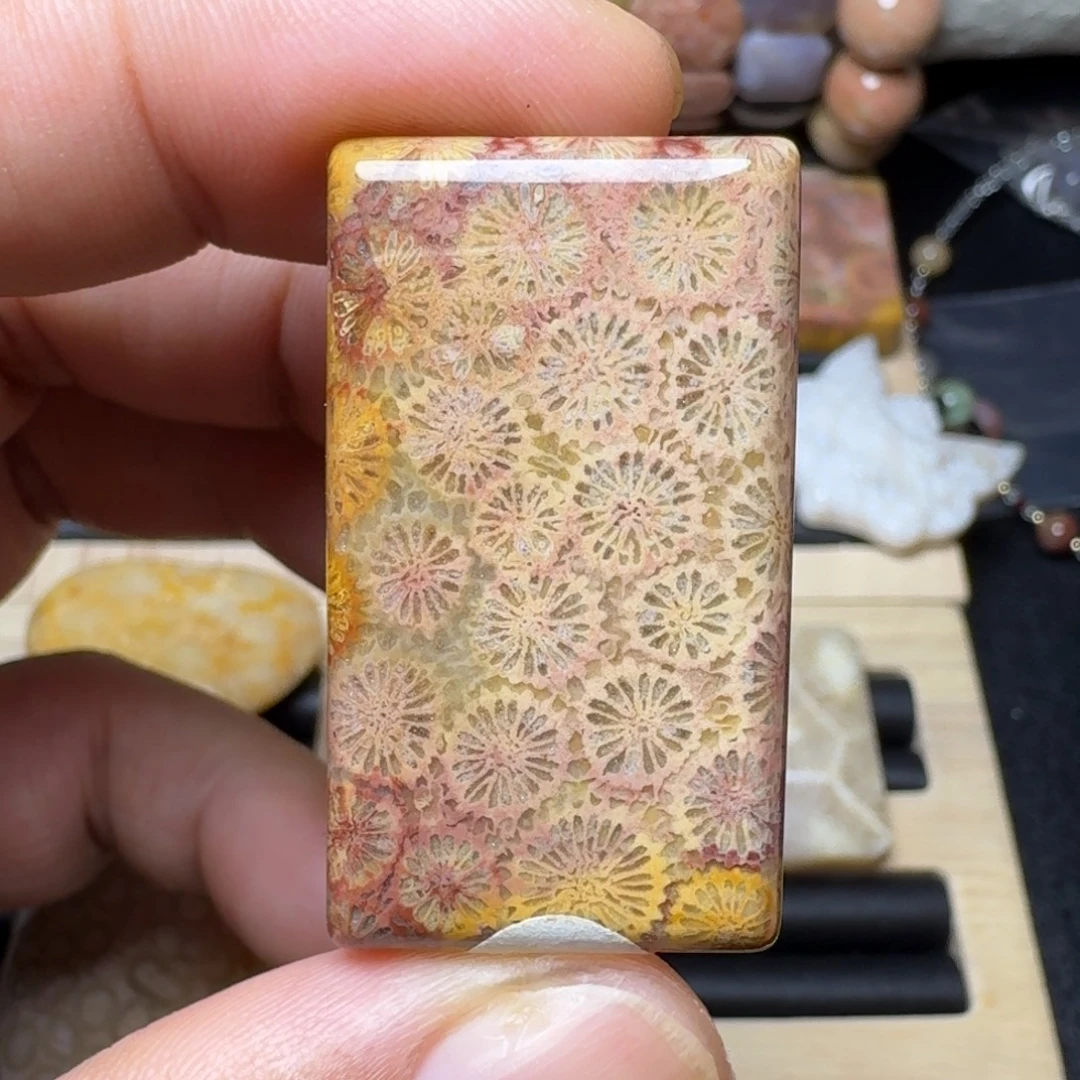 硅化玉未镶嵌纯天然色有机玉石保真色
