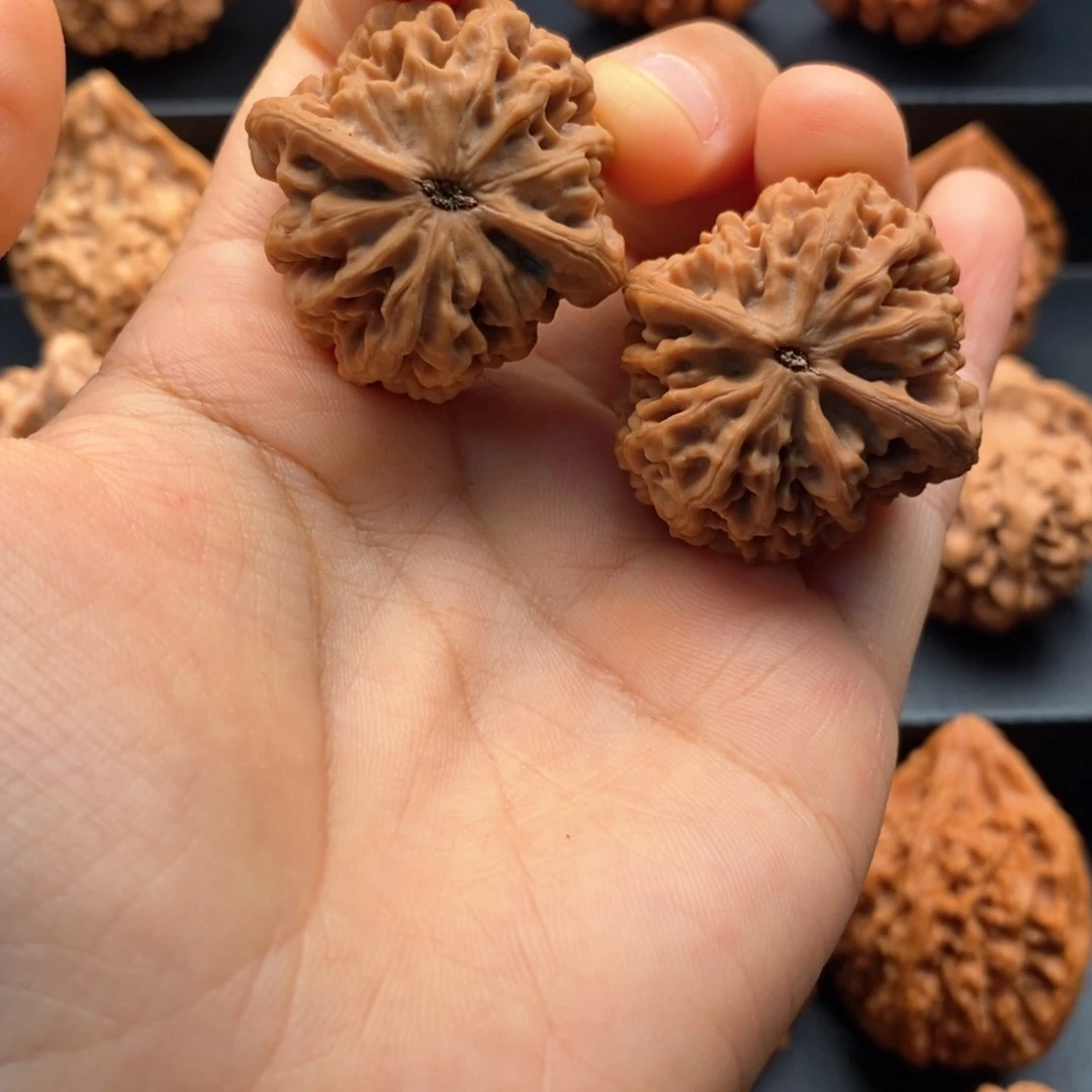 把件文玩核桃聆****色秦岭文玩核桃
