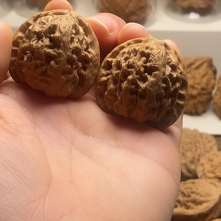 吊坠桃核白狮子全品