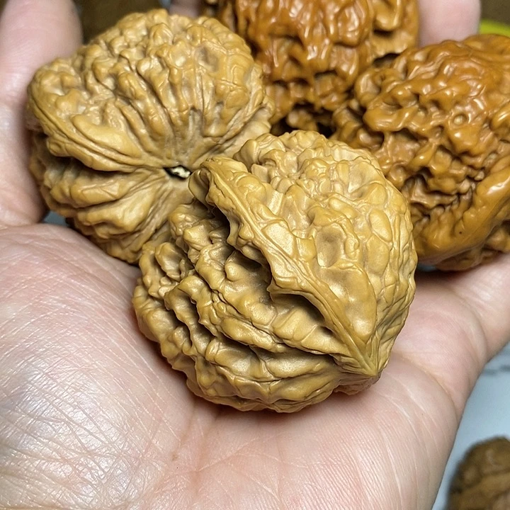 文玩核桃把件抖****151.5尺，龙鼎