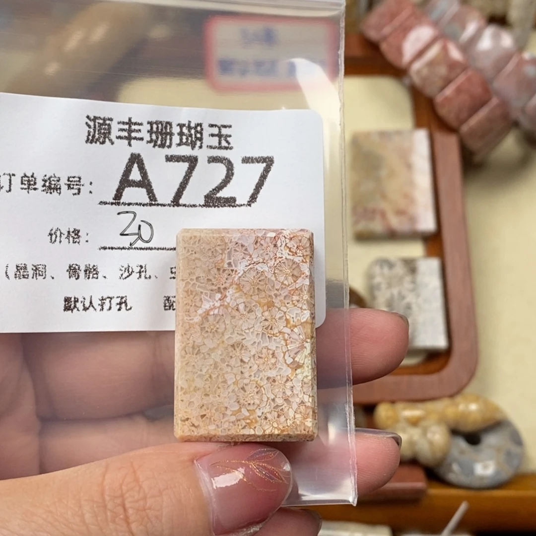 栀***欣硅化玉未镶嵌颈饰