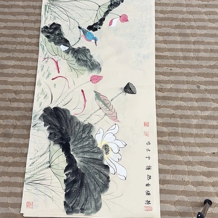 国画花鸟等多种鸟类的