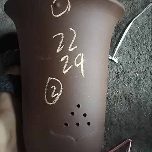 莲花金钟一个花盆3