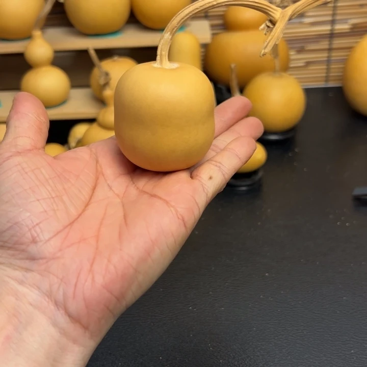 一*豆22259999966999998