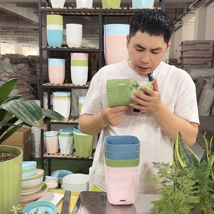 方竖纹口12高12混色6个带托