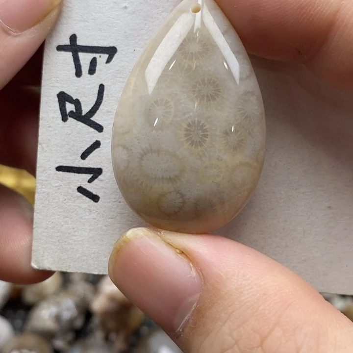 颈饰未镶嵌硅化珊瑚（珊瑚玉）
