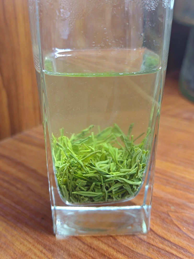 2025（秀03）新茶栗香直毛尖，香浓耐泡老茶客喜欢的味（散装称重）