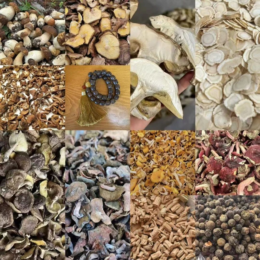 FSP469土特产菌/多样性发货