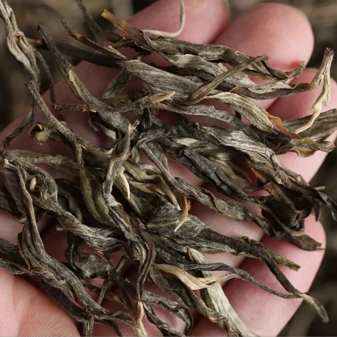 98年年沱茶试饮生茶散茶