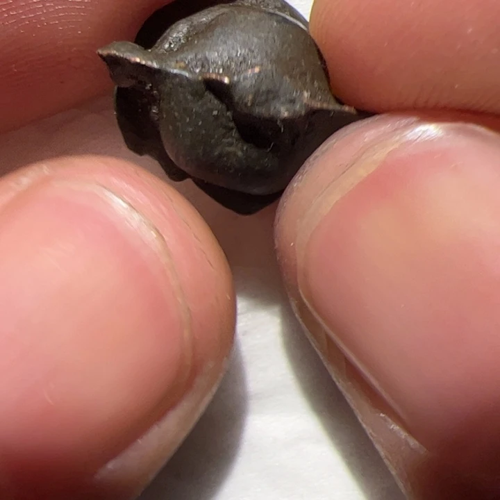 玻璃配饰你在一起