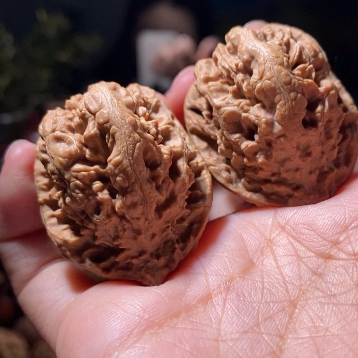 把件文玩核桃东北楸子小路 275