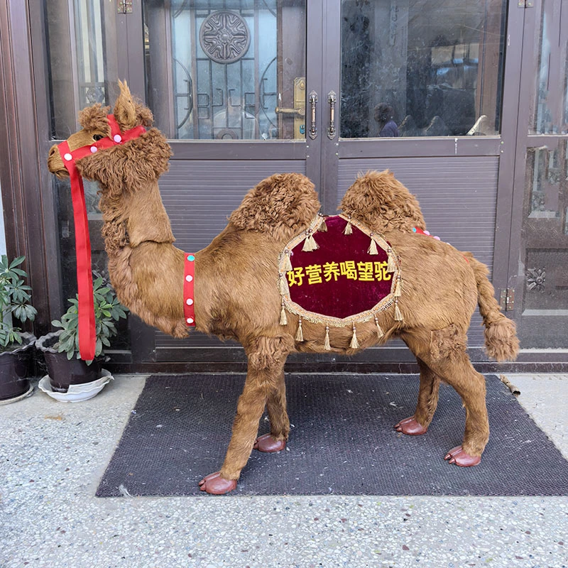 真皮仿真骆驼一模一样动物标本展厅展示装饰摆件支持印字影视道具