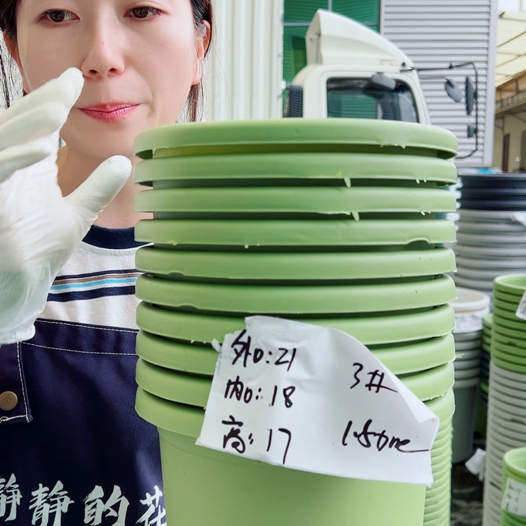瑕疵四季盆3#果绿10个无托