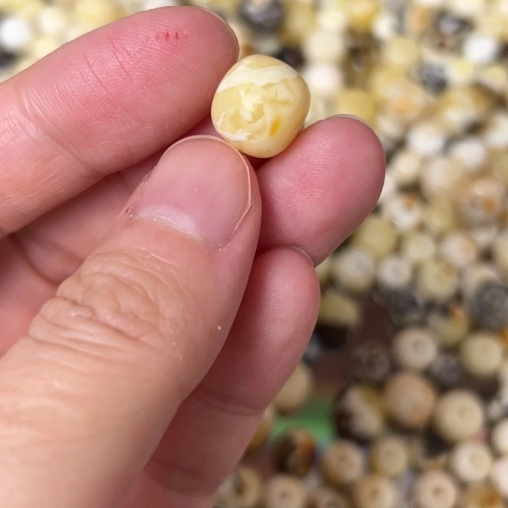 蜜蜡未镶嵌裸石11mm一个