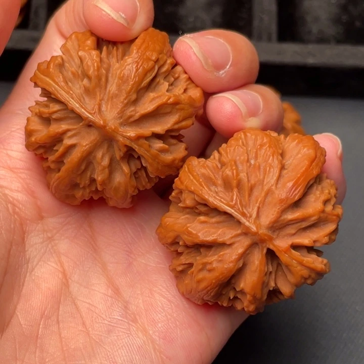 秦岭野生核桃文玩