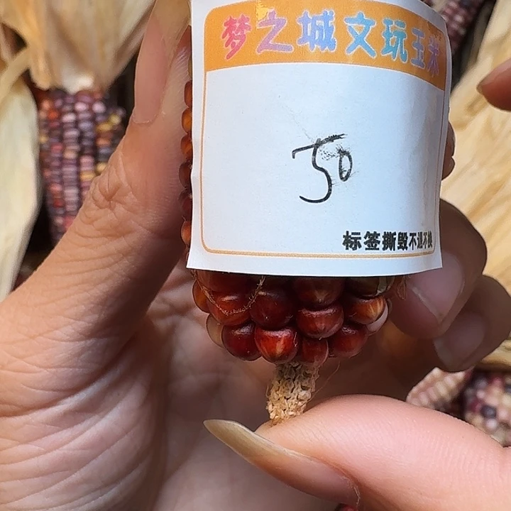 *****吊坠柏香籽/百香籽