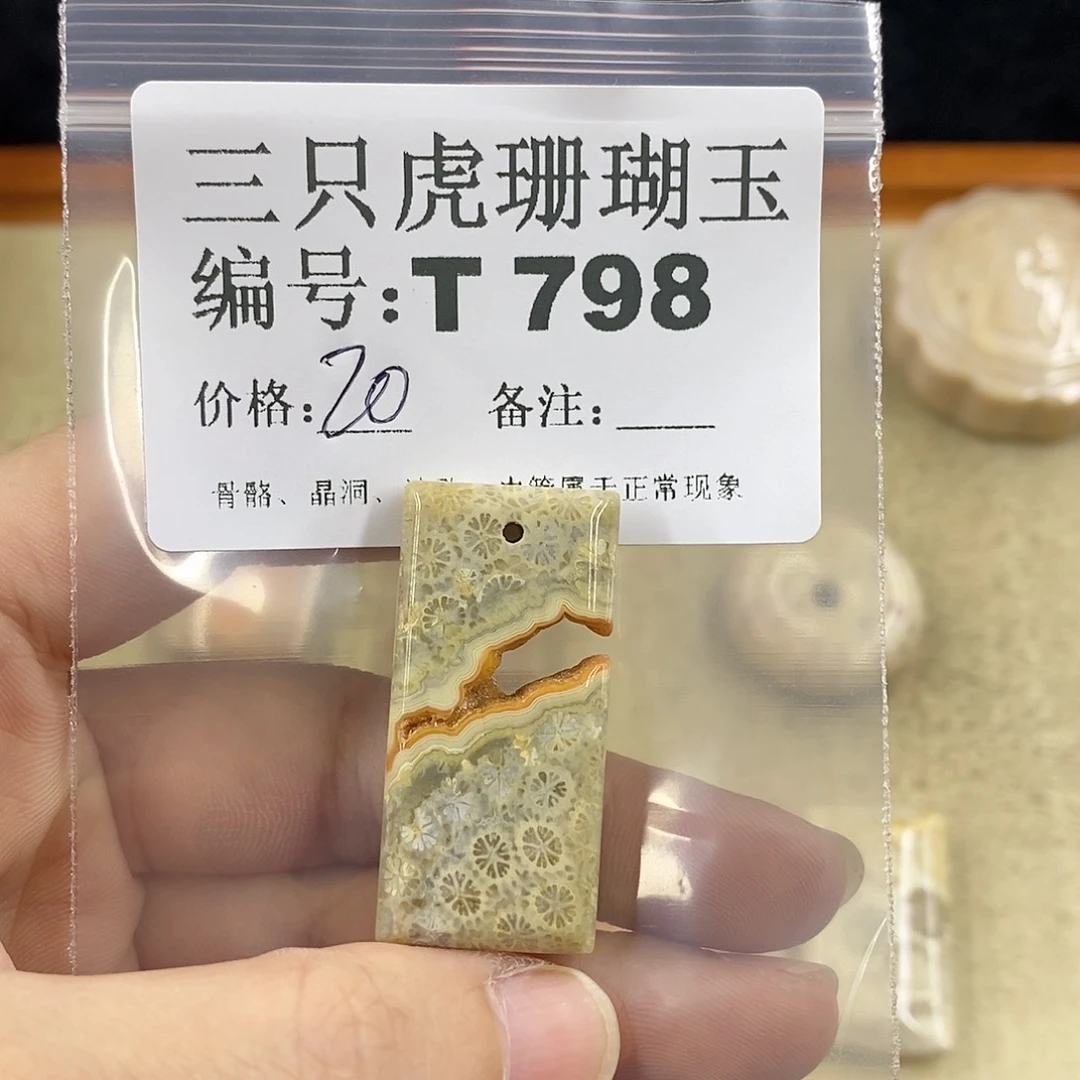 硅化珊瑚（珊瑚玉）1未镶嵌曾**时