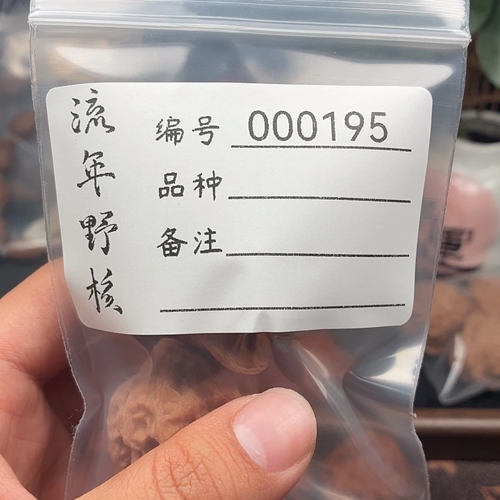 夏***草文玩核桃吊坠追龙