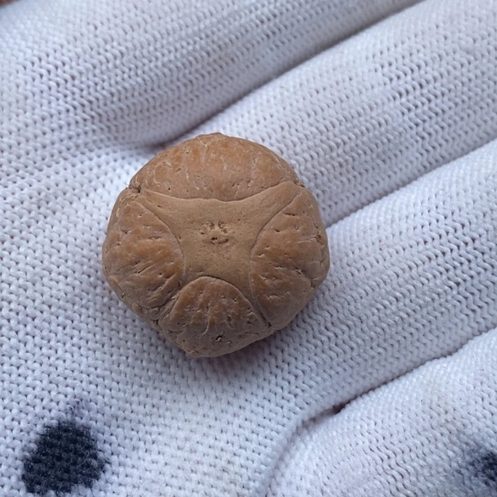 凤眼菩提手串嫣**影麒麟眼23.7mm定制打孔不退换